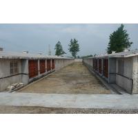 負(fù)壓風(fēng)機(jī)養(yǎng)殖 負(fù)壓風(fēng)機(jī)養(yǎng)殖